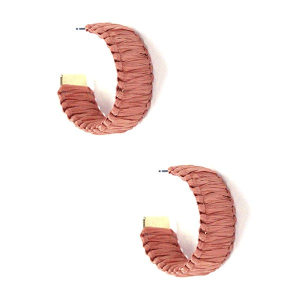 Hooped In Color Earrings (2 Colors)