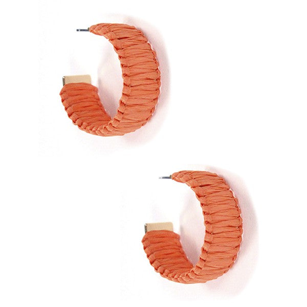 Hooped In Color Earrings (2 Colors)