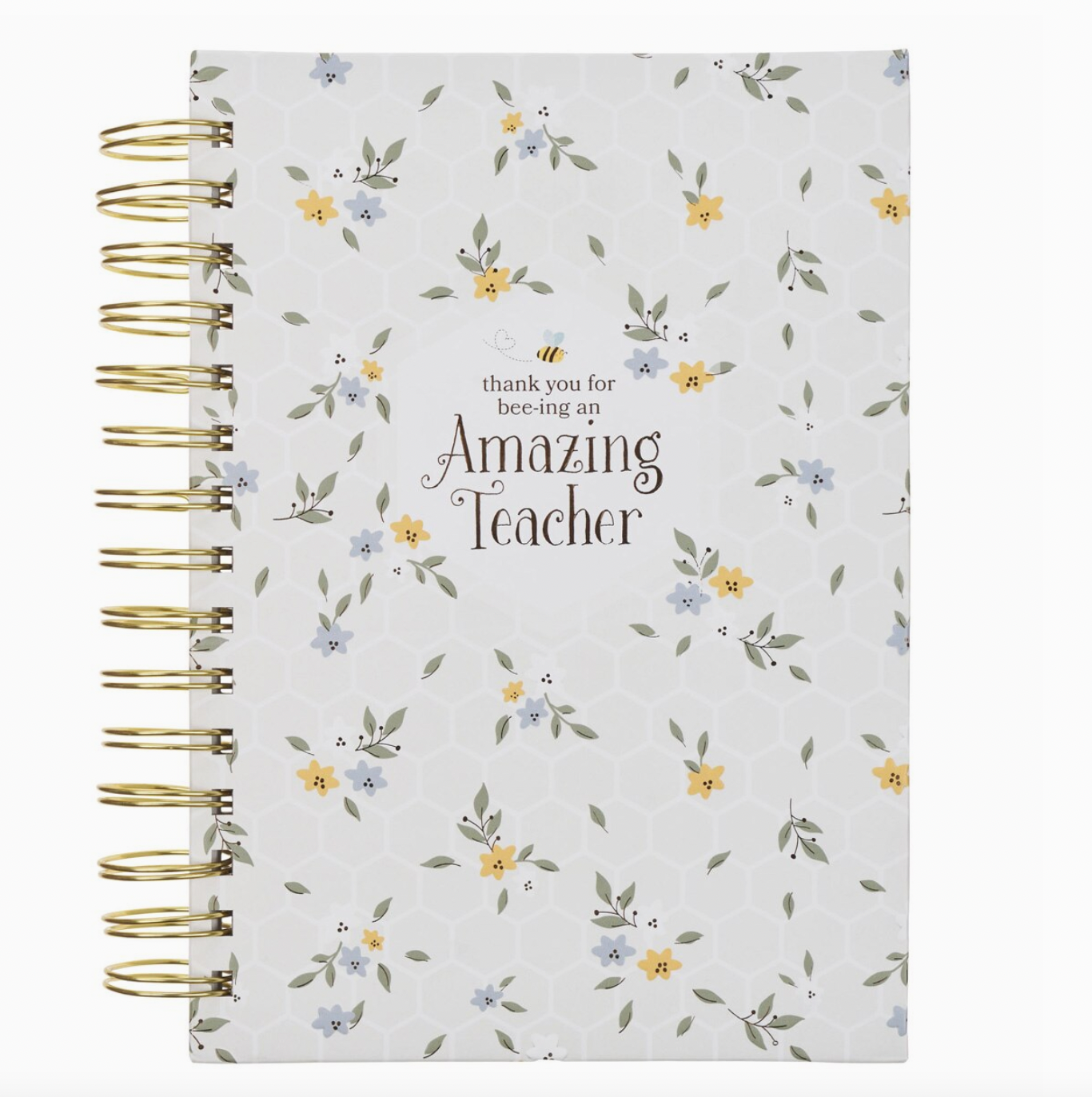 Amazing Teacher Journal