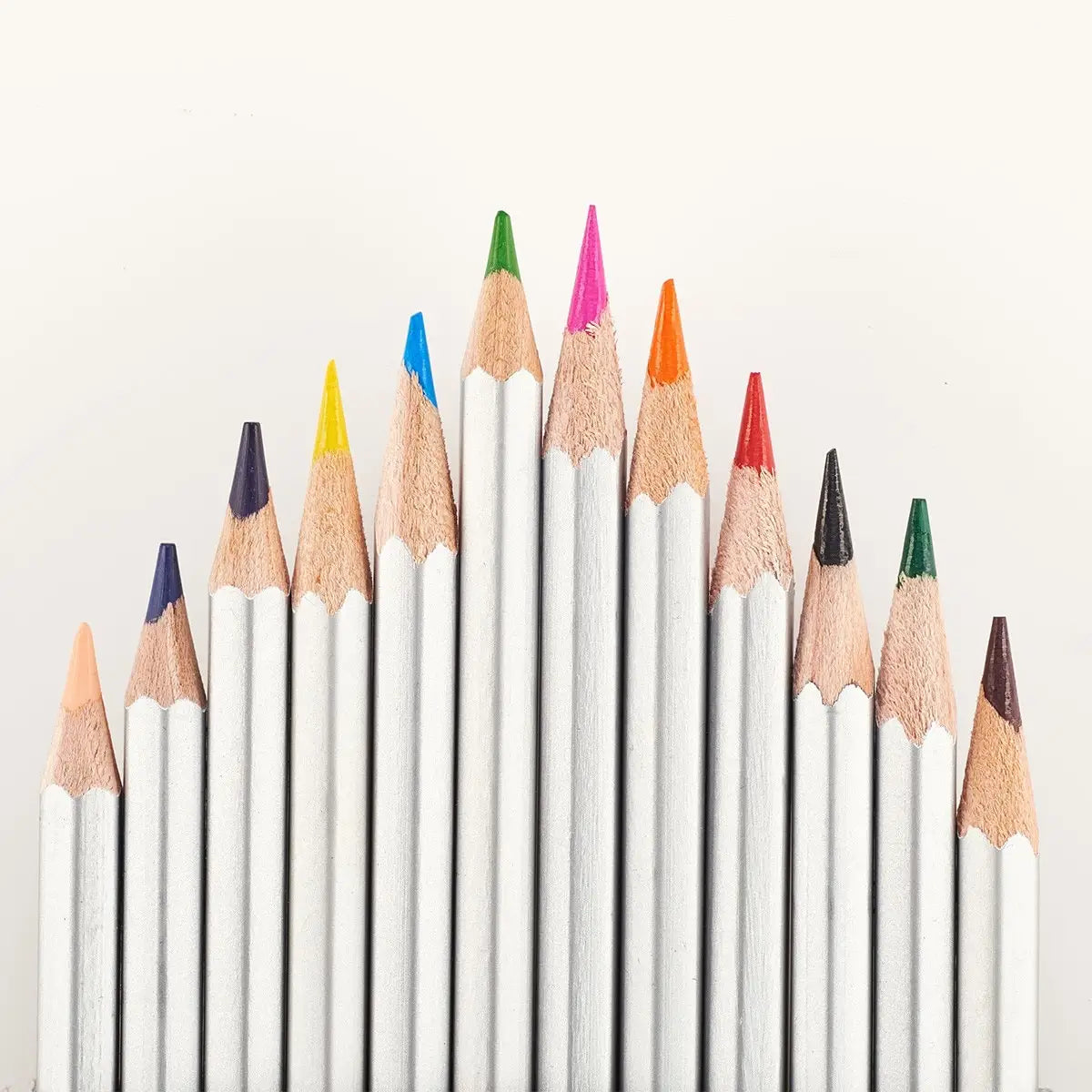 Coloring Pencils Veritas Set