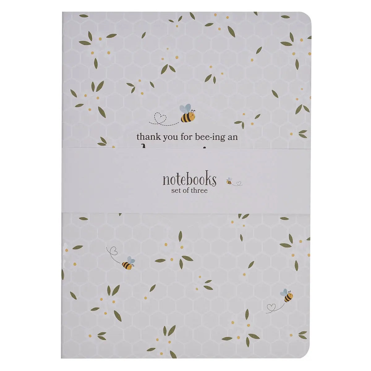 Notebook Set Amazing Teacher