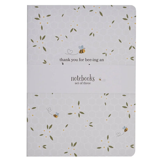 Notebook Set Amazing Teacher