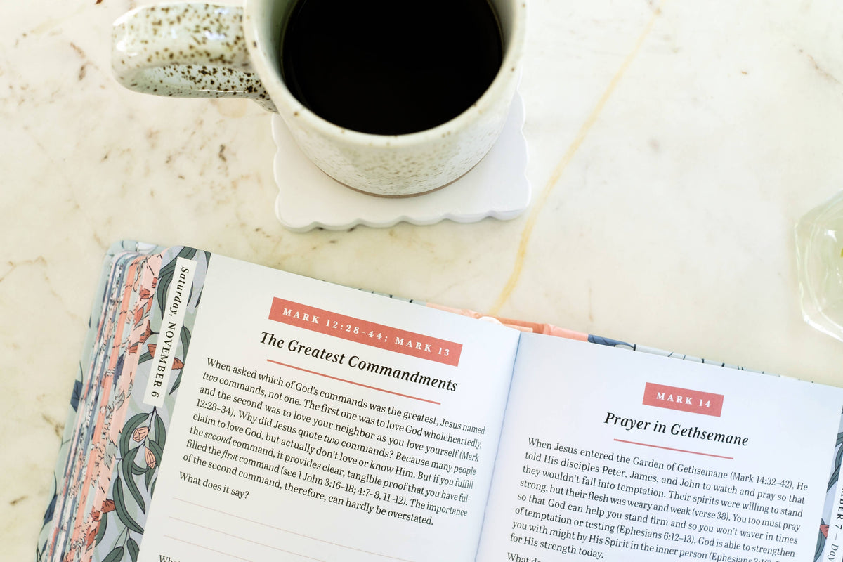 My Daily 5-Minute Bible Study Plan