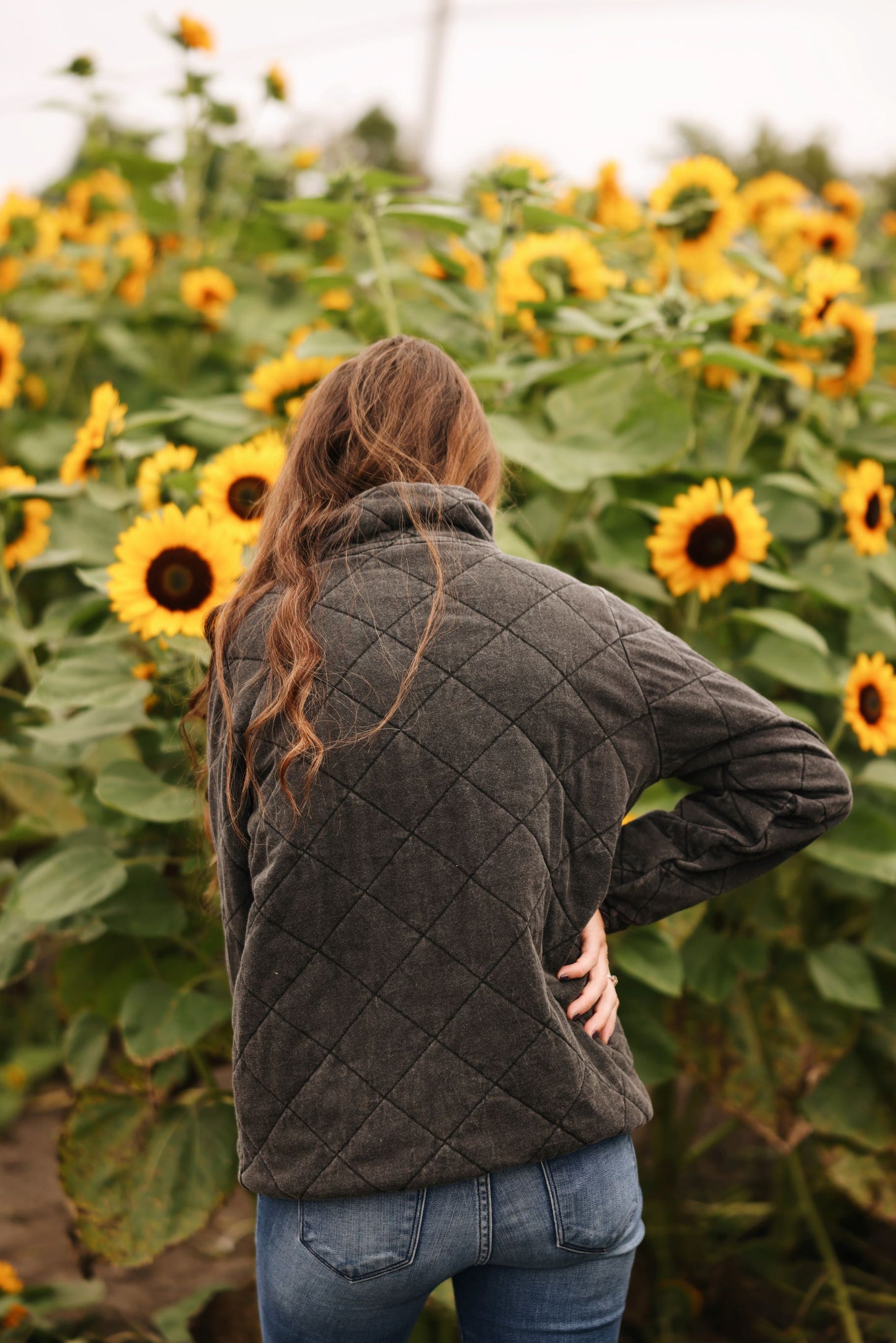 Harvest Moon Quilted Pullover (2 Colors)