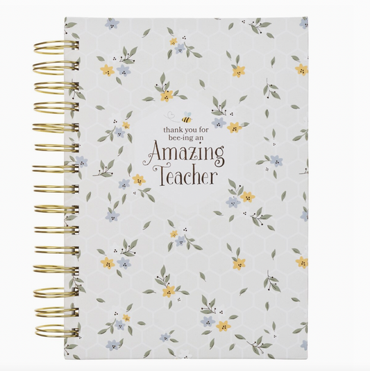 Amazing Teacher Journal