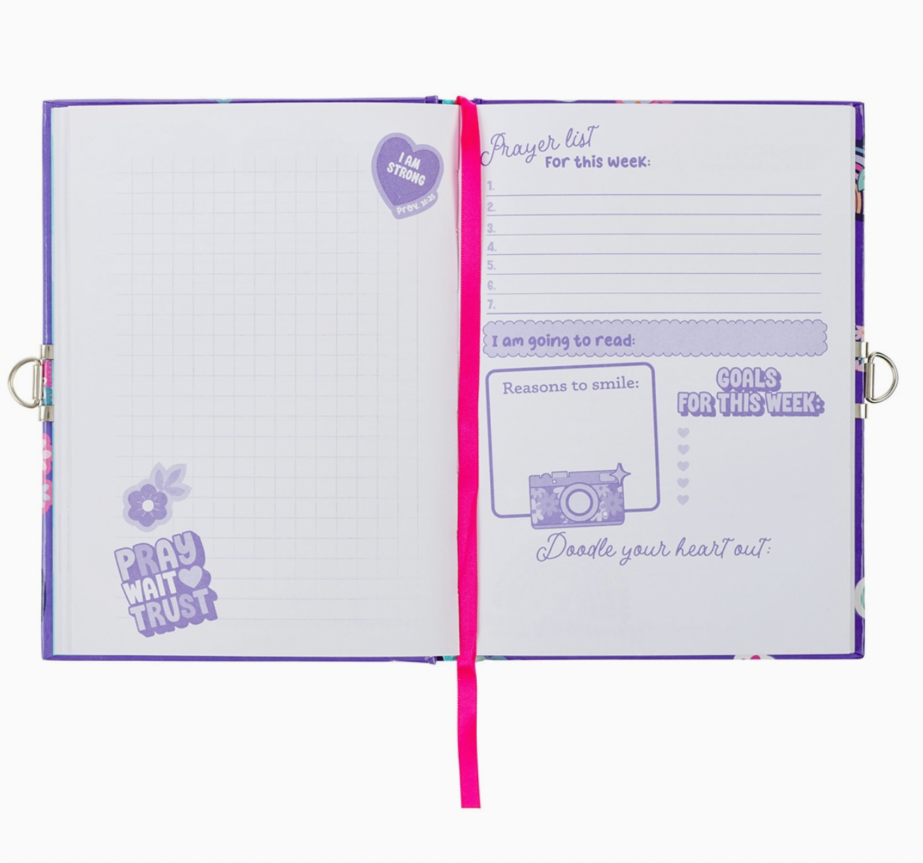 Shine For Jesus Diary