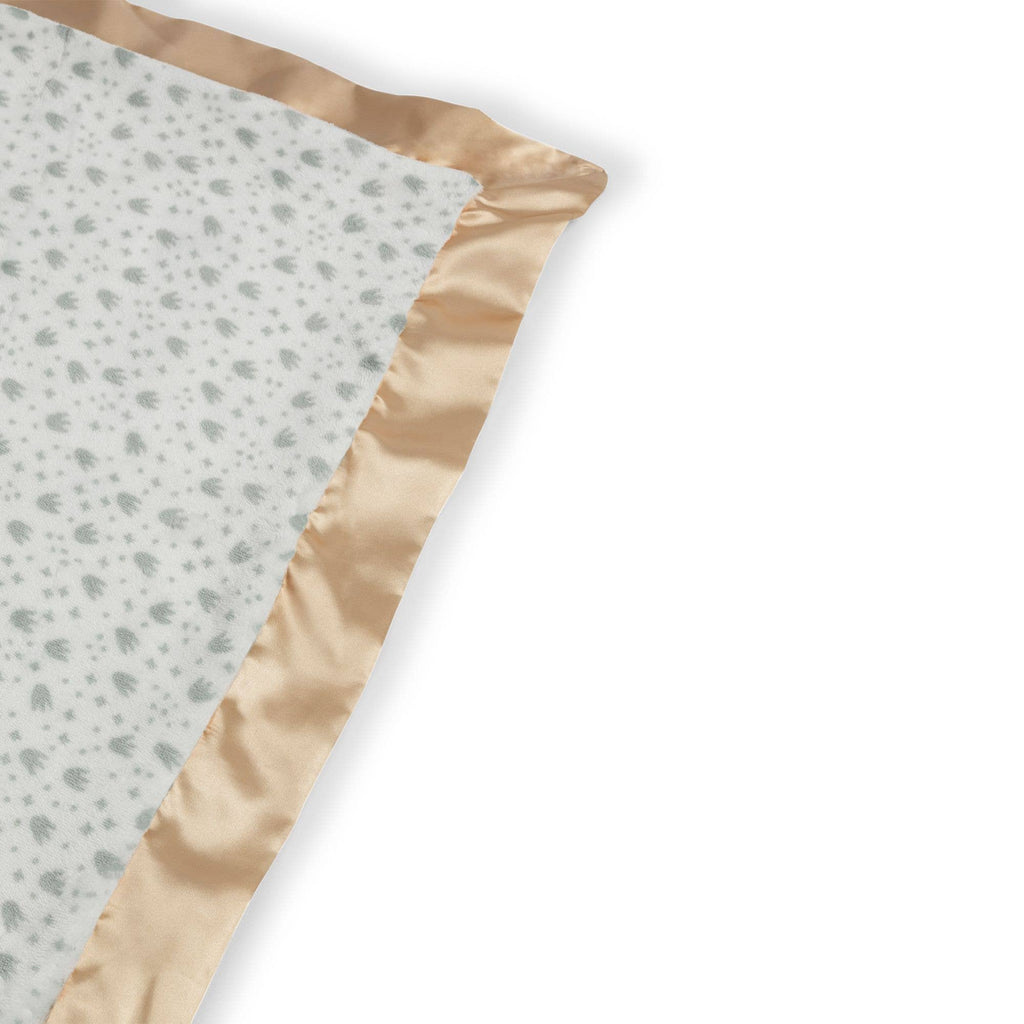 Reversible Baby Blanket Roarsome