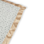 Reversible Baby Blanket Roarsome
