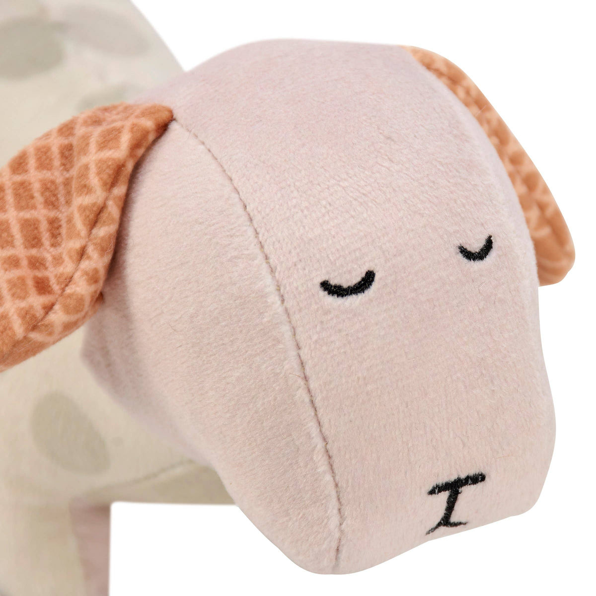 Squeaky Dog Baby Toy