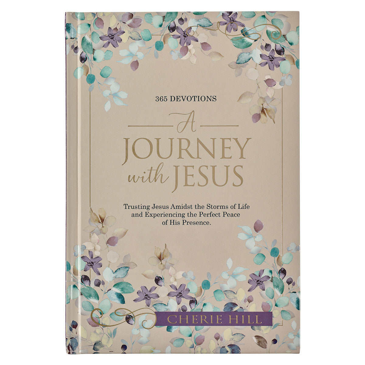 A Journey With Jesus